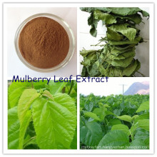 Factory Supply Anti-Diabetes Mulberry Leaf Extract 1% 1-Dnj